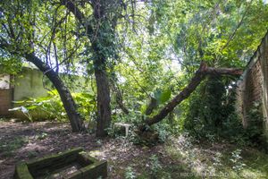 Image 19 - 119795