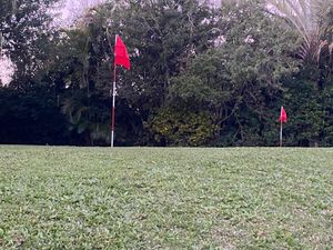 Image 4 - 119966