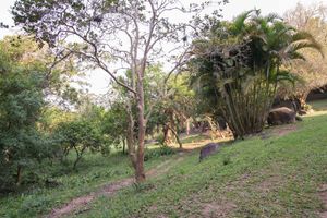 Image 6 - 119991