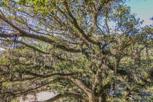 Image 13 - 120563