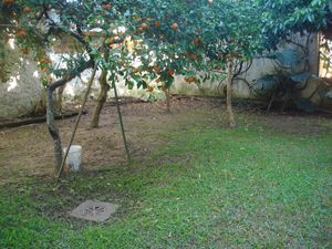 Image 10 - 120638