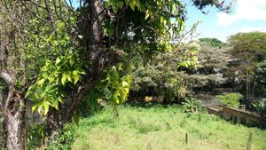 Image 3 - 121414