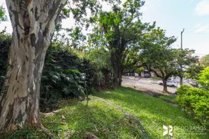 Image 17 - 122987