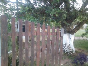 Image 26 - 123144