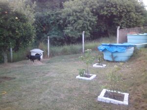 Image 10 - 123144