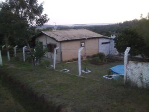 Image 11 - 123144