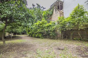 Image 48 - 124112