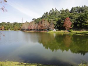Image 30 - 124285
