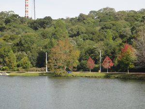 Image 35 - 124285