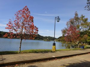 Image 32 - 124285