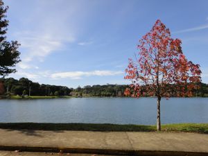 Image 33 - 124285