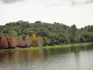 Image 1 - 124285