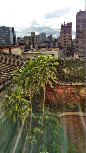 Image 13 - 124382