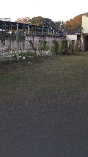 Image 5 - 125223