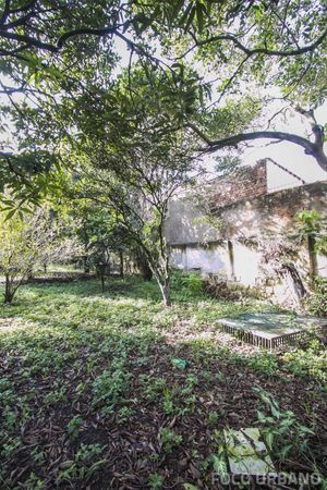 Image 36 - 125338