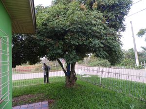Image 16 - 125891