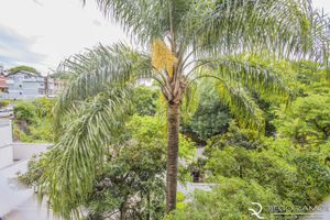Image 13 - 126198