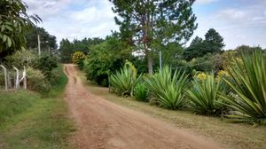 Image 1 - 126247
