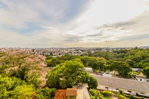 Image 16 - 126396
