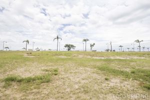 Image 4 - 127529