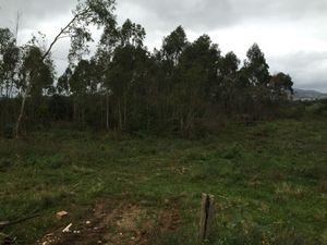 Image 6 - 127584