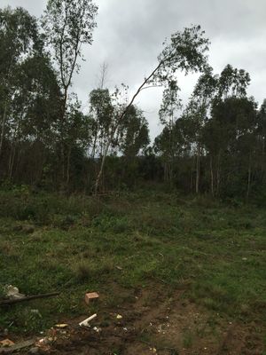 Image 5 - 127584
