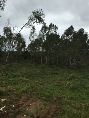 Image 4 - 127584