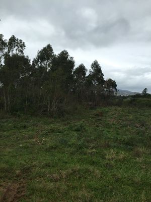 Image 3 - 127584