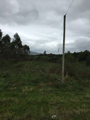 Image 2 - 127584
