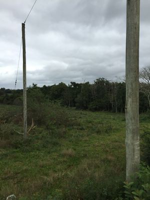 Image 1 - 127584