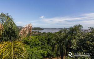 Image 25 - 128064