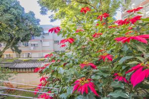 Image 9 - 128097