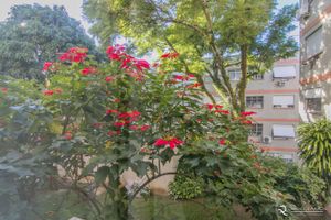 Image 13 - 128097