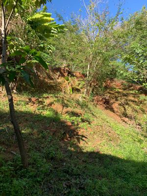 Image 33 - 131511