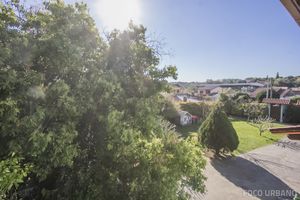 Image 20 - 131646