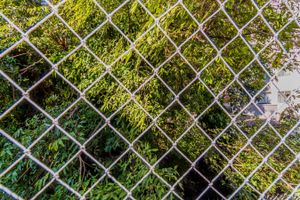 Image 15 - 132416