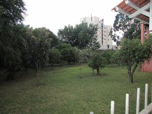 Image 12 - 132542