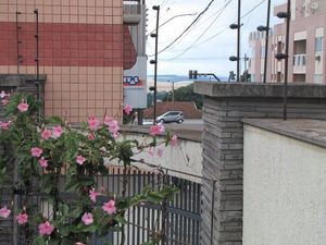 Image 15 - 132542