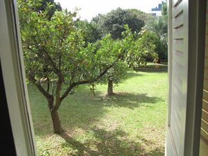 Image 31 - 132542