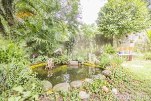Image 11 - 133931