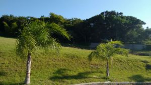 Image 1 - 133978