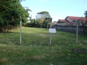 Image 2 - 133986