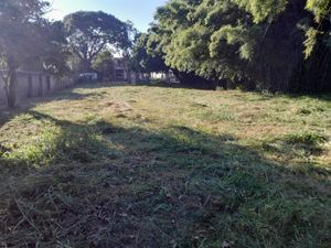 Image 6 - 133986