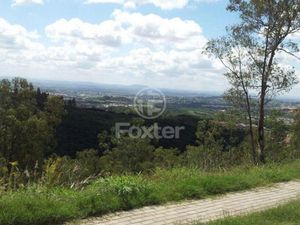 Image 80 - 134032