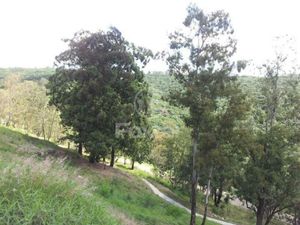 Image 81 - 134032