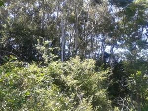 Image 4 - 134057