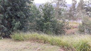 Image 77 - 13466