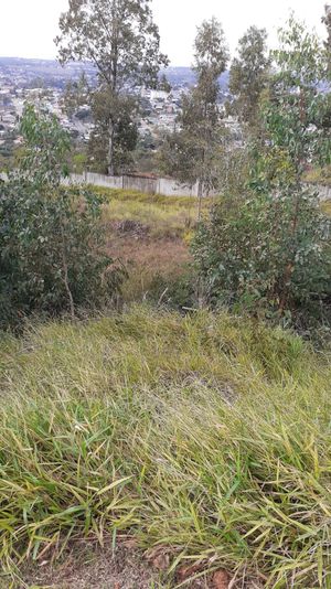 Image 80 - 13466
