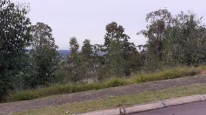 Image 79 - 13466