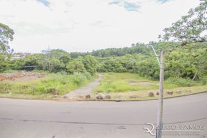 Image 24 - 134986